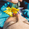 Can Glycolic Acid Lighten Skin? Exploring the Truth
