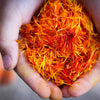 Does Saffron Lighten Skin: A Through Analysis