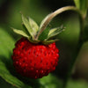 Can Retinol Help with Body Acne and Strawberry Legs? Here’s the Truth