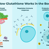 Glutathione vs Vitamin C 2026 – Which Is Better for Skin Brightening in India?